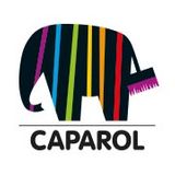 Caparol Logo - Malerbetrieb Sascha Schlee